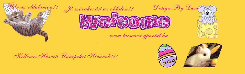 kicsicica